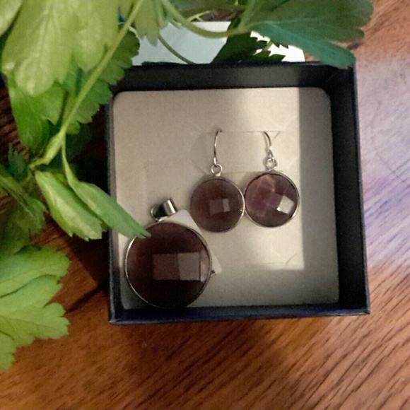 Jewelry - 🌟🌟NWT Earrings / Necklace Pendant